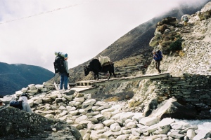 An irresistable force meets an immovable object near Dingboche