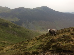 Grisedale Pike with Force Crag Mine in the valley on the way to Causey Pike